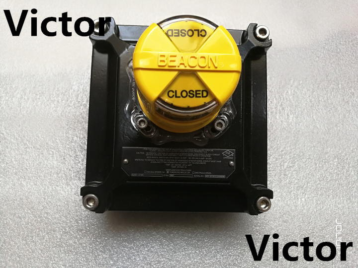 德國(guó)KISSLING限位開(kāi)關(guān)